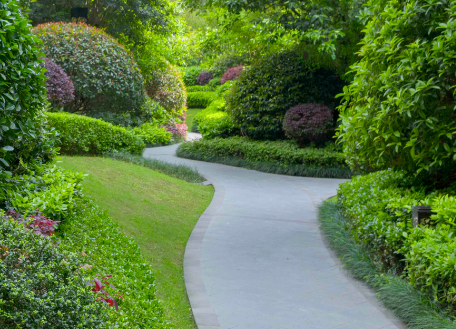 小區(qū)綠化等級標(biāo)準(zhǔn)、綠化養(yǎng)護(hù)計(jì)劃及每月安排