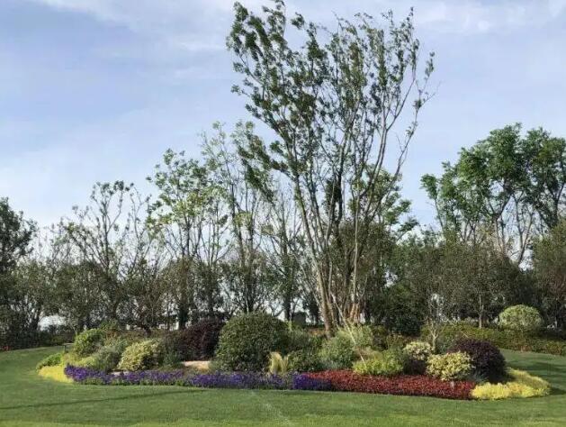 園林綠化工程造價(jià)控制要點(diǎn)有哪些？