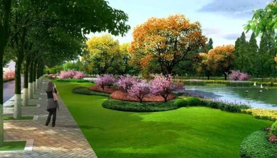 如何做好綠化工程結(jié)算，看這些你就明白了