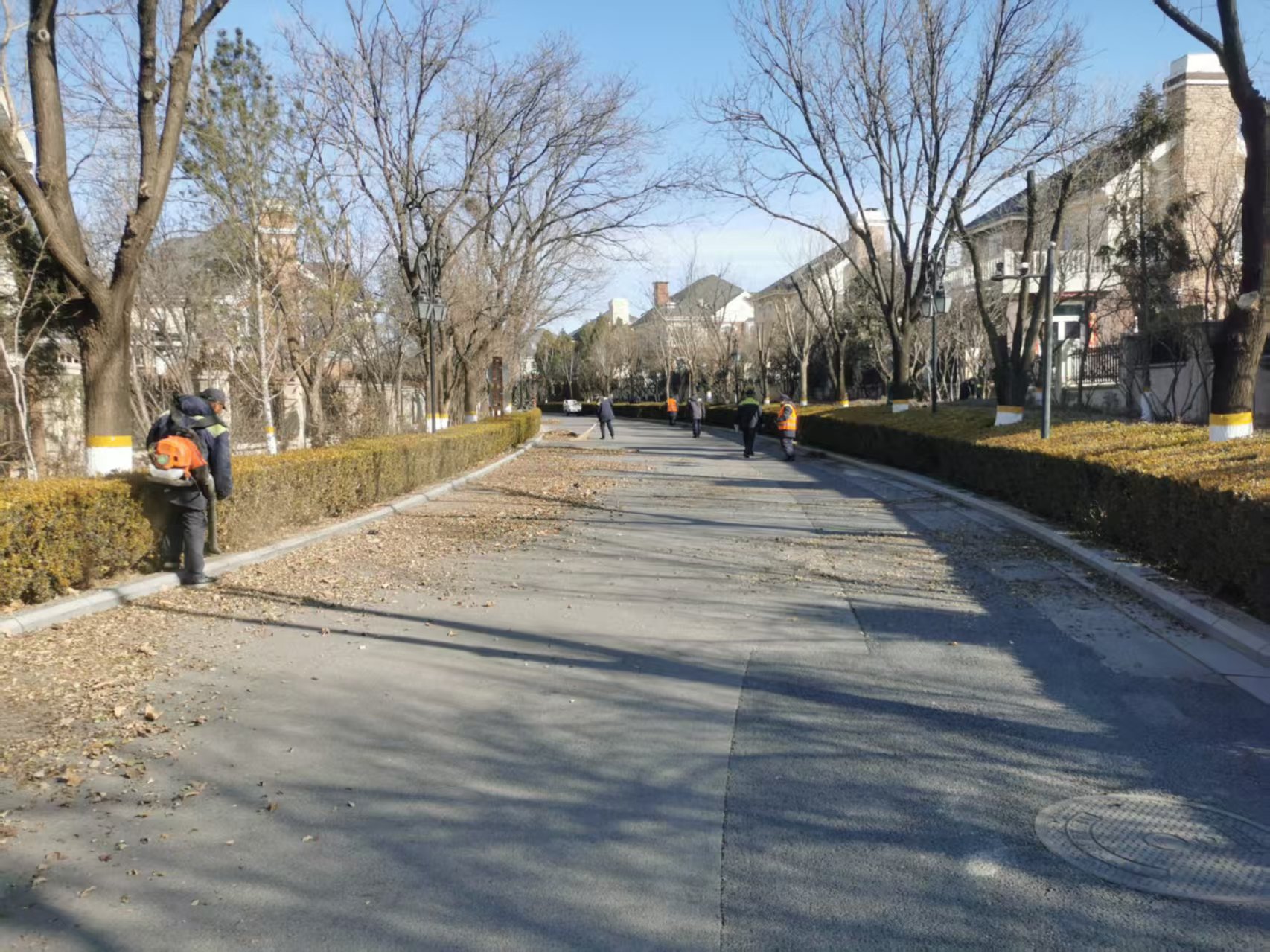 北京春季園林綠化養(yǎng)護(hù)指南之春季清園