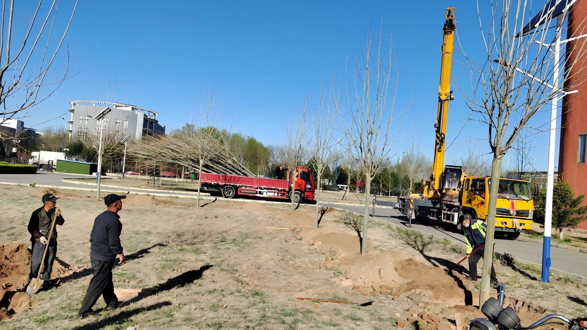 在北京進(jìn)行春季種樹，最佳時間是什么時候