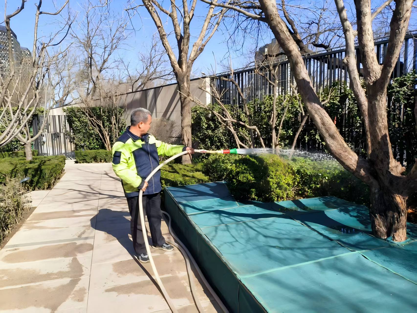 園林綠化之春季養(yǎng)護(hù)指南